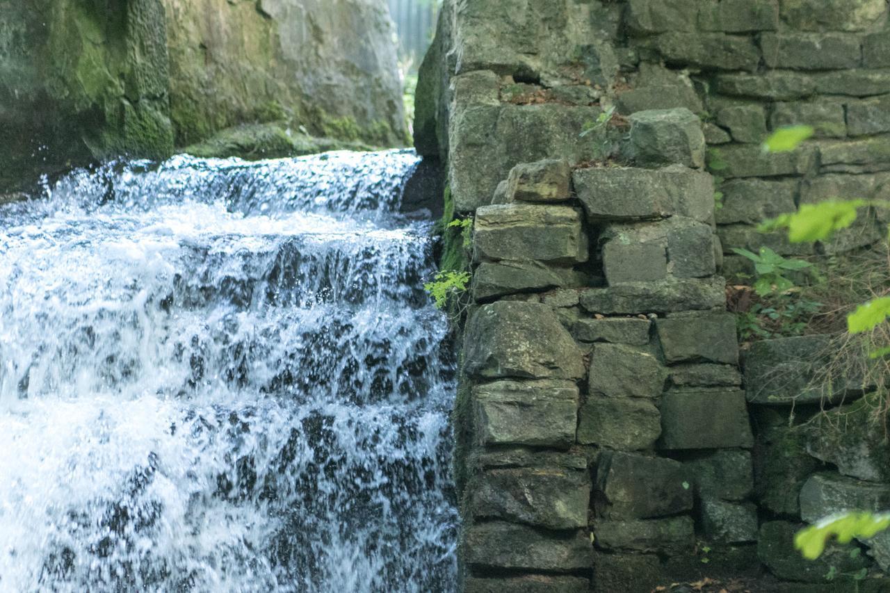 Haus Am Wasserfall Detmold Zewnętrze zdjęcie