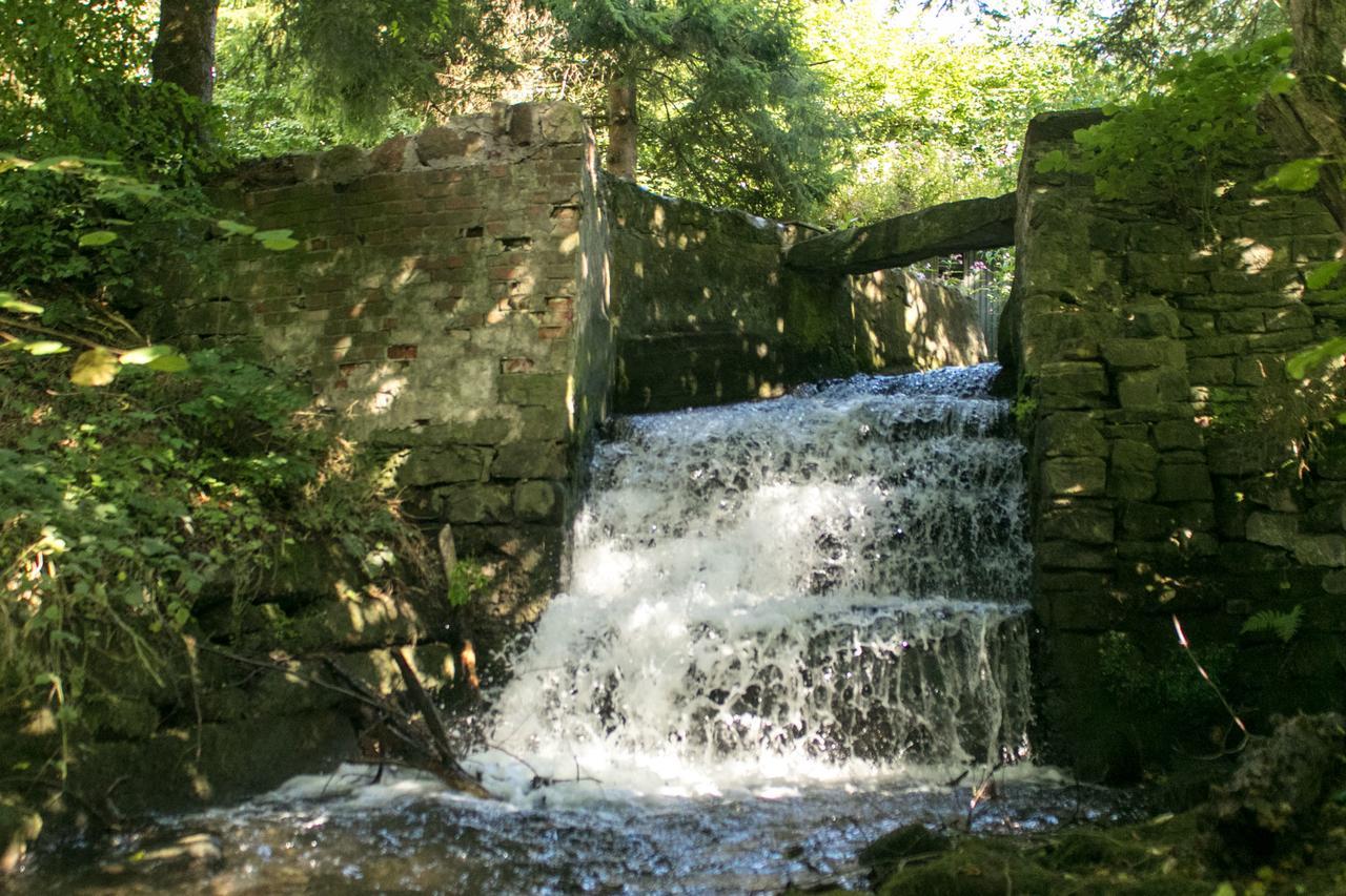 Haus Am Wasserfall Detmold Zewnętrze zdjęcie